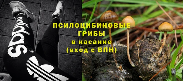 прущая мука Алексин